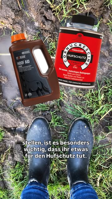 iqhorse.de