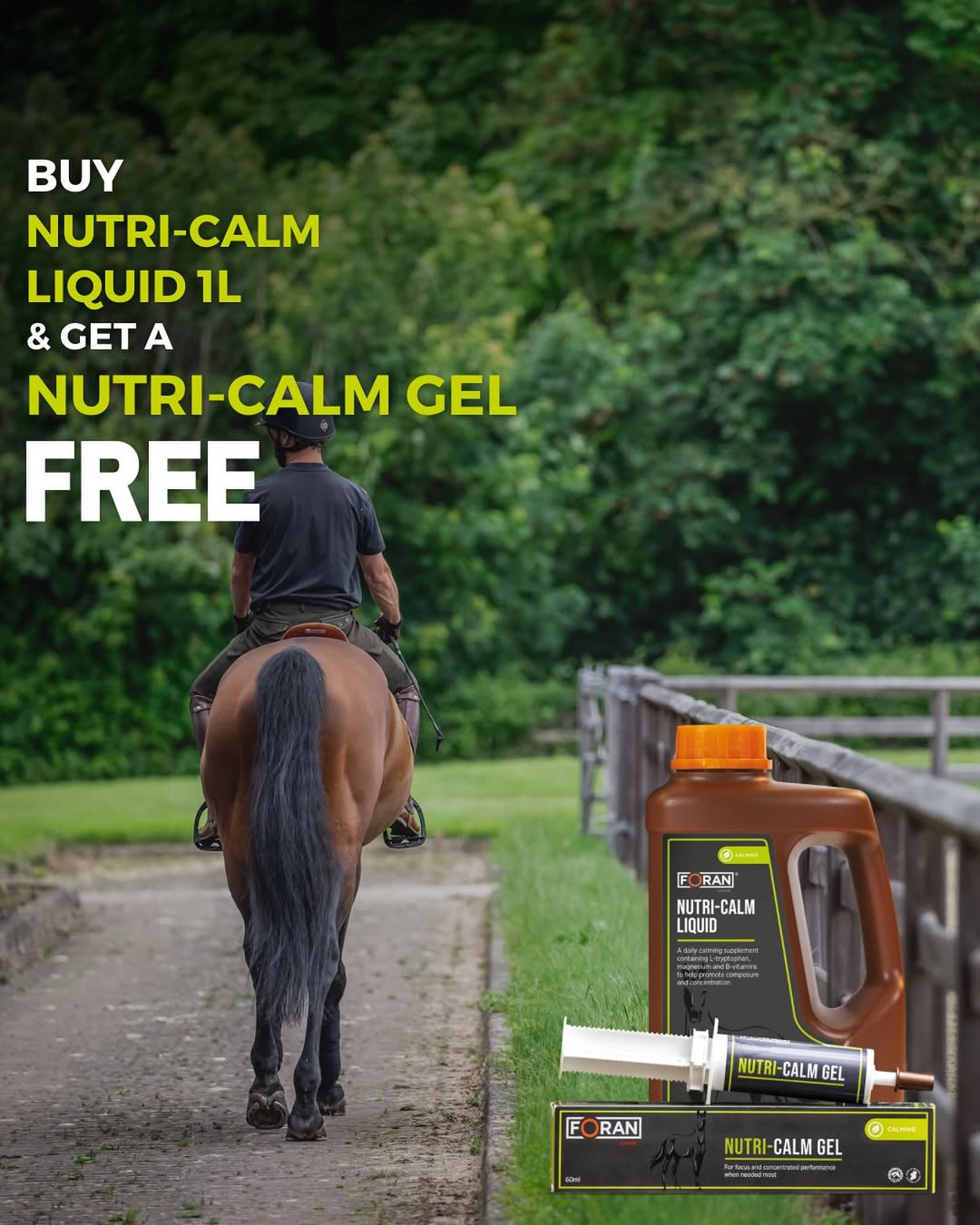 iqhorse.de