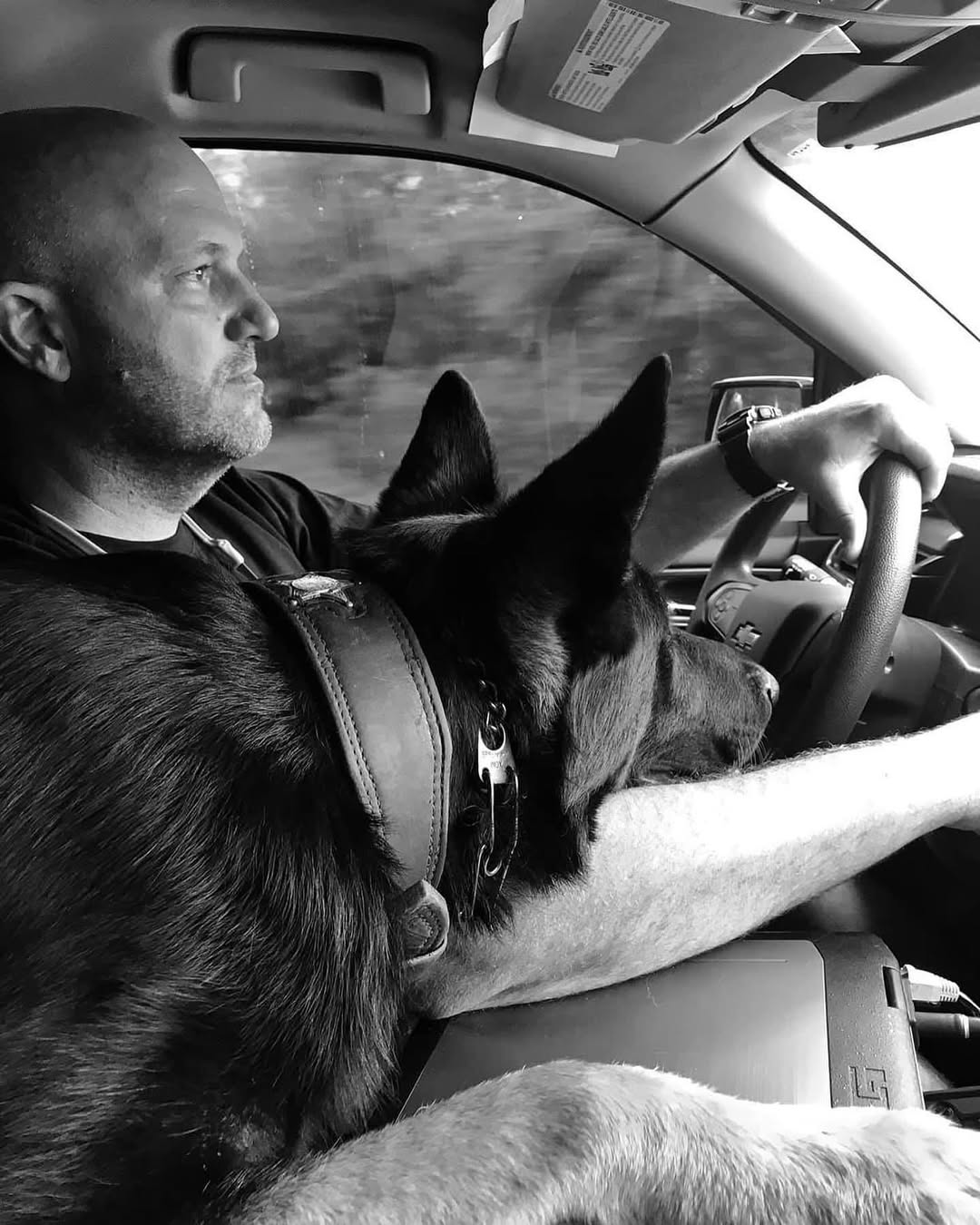 Instagram k9sunited