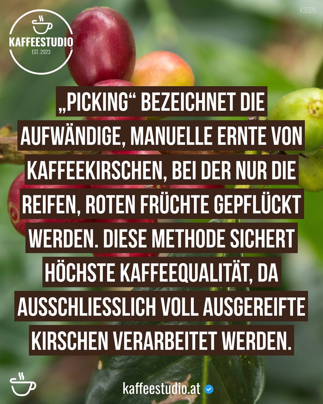 kaffeestudio.at