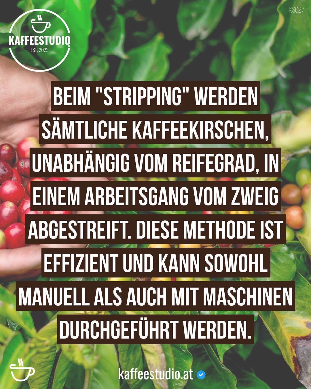kaffeestudio.at