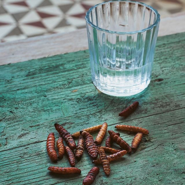 Instagram mercimercado_US