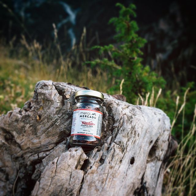 Instagram mercimercado_US