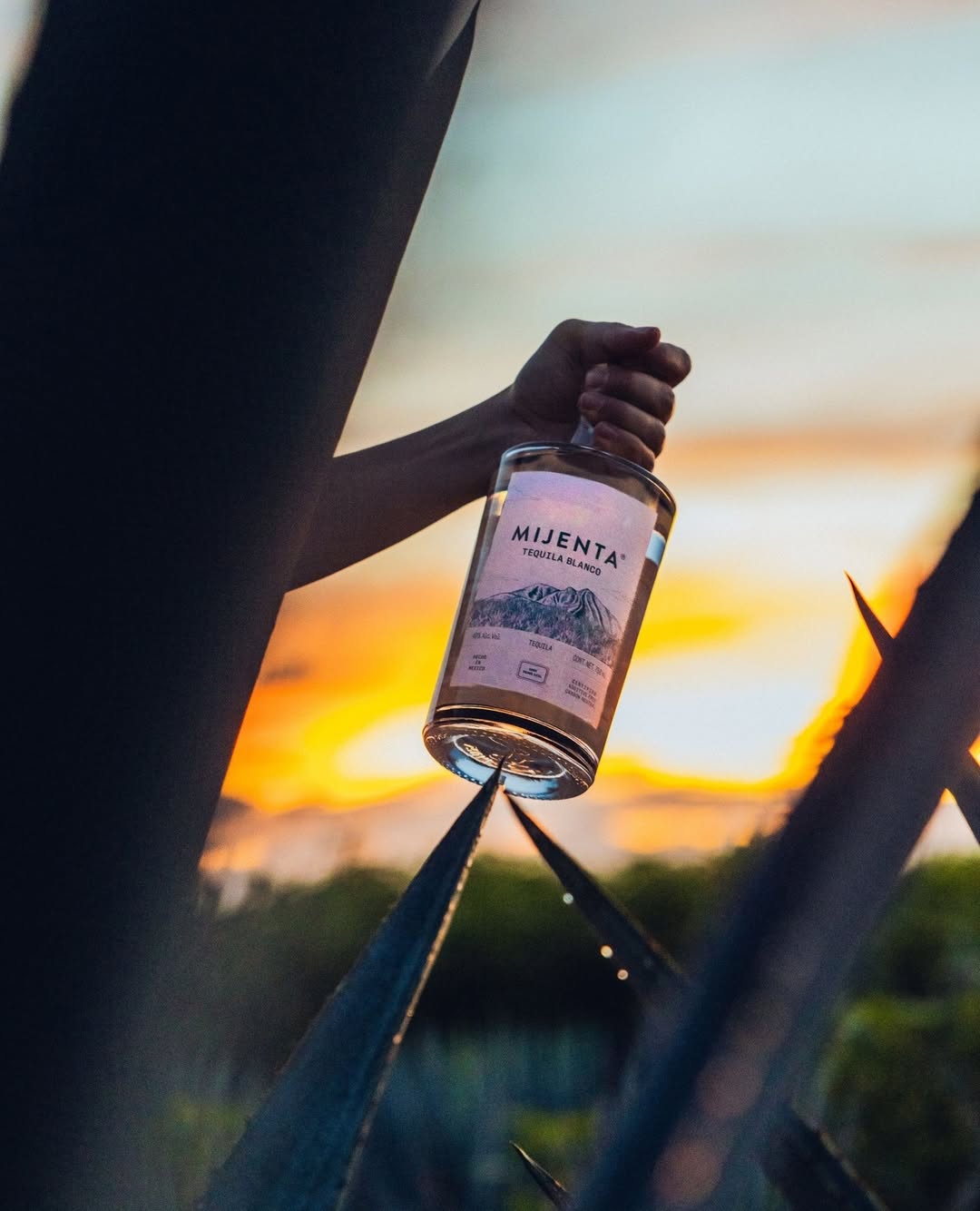 mijentatequila