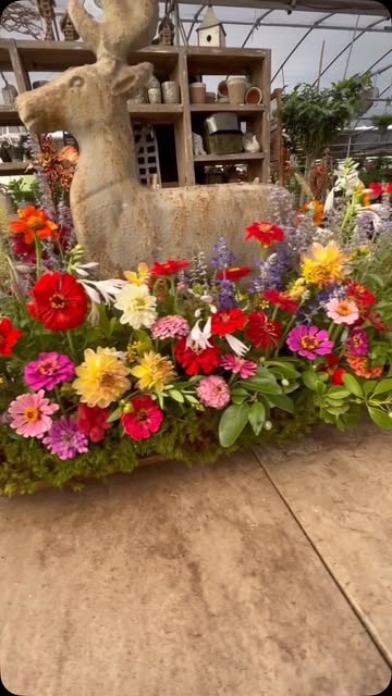Classic Rolled Rim Planter – Millstone Market & Nursery