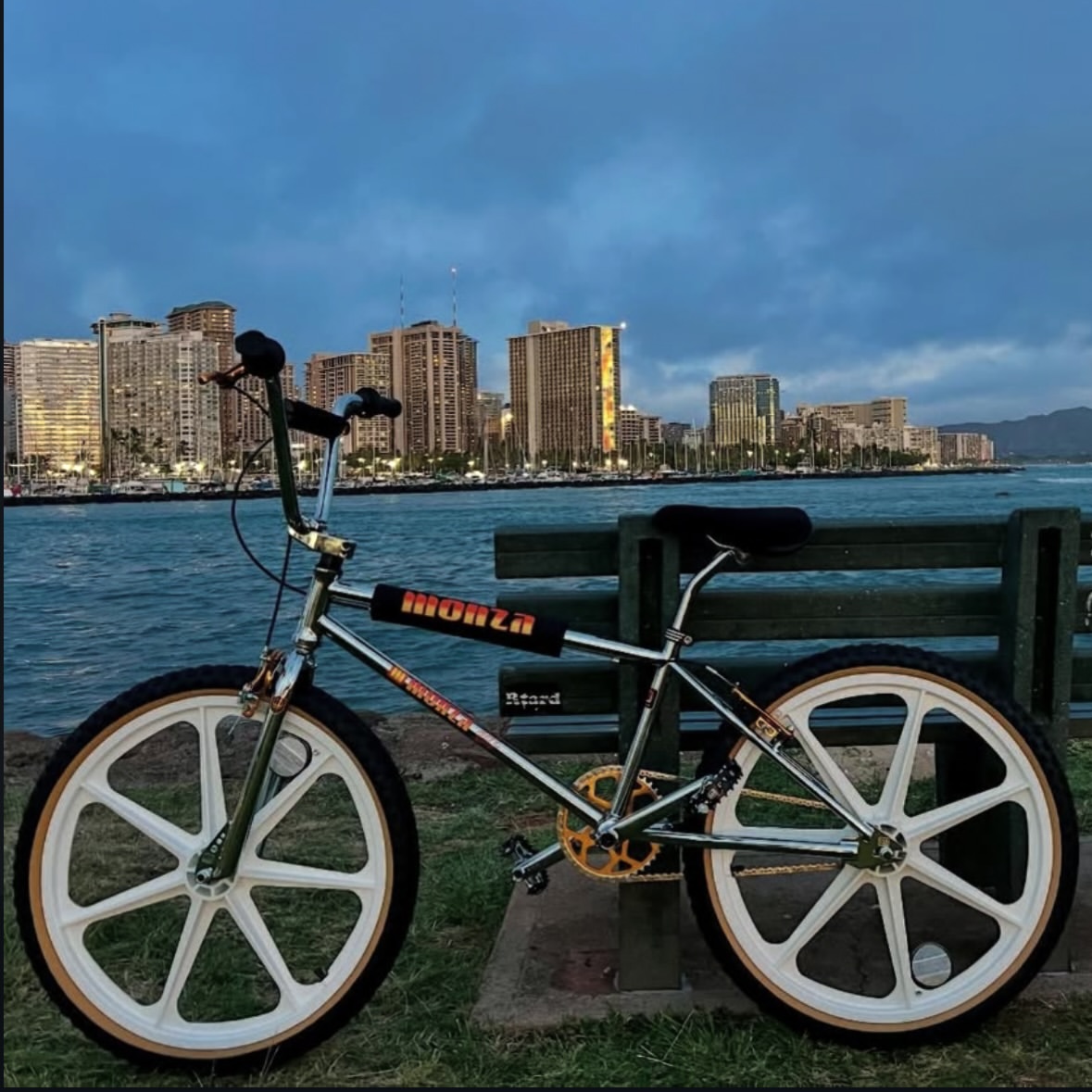 Premium BMX bikes for adults