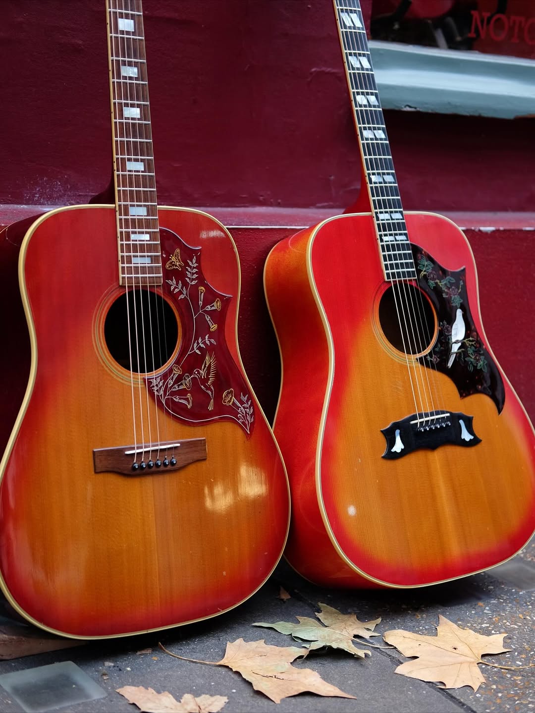 Hamstead Soundworks Signature Analog Tremolo – No.Tom Guitars