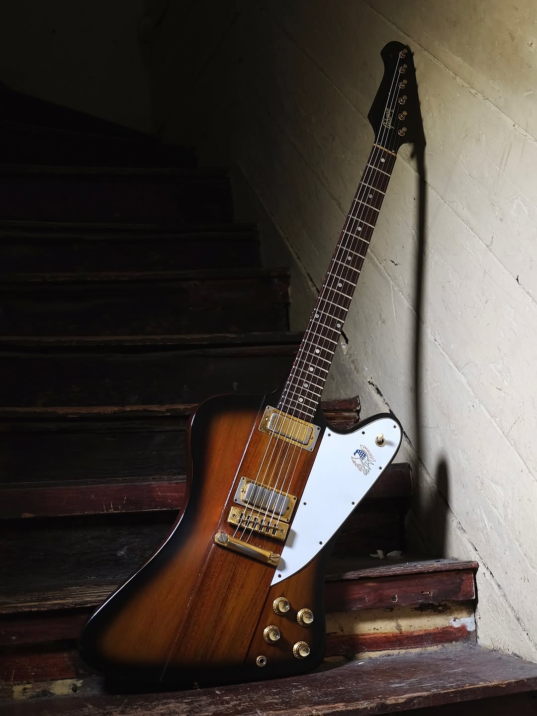 1980's Guyatone PS-006 Analog Echo – No.Tom Guitars