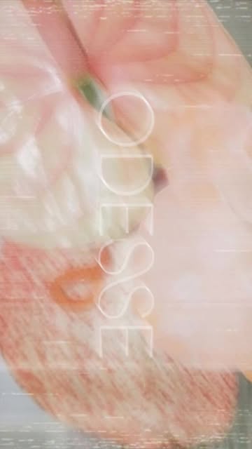 Instagram onepalmstudio
