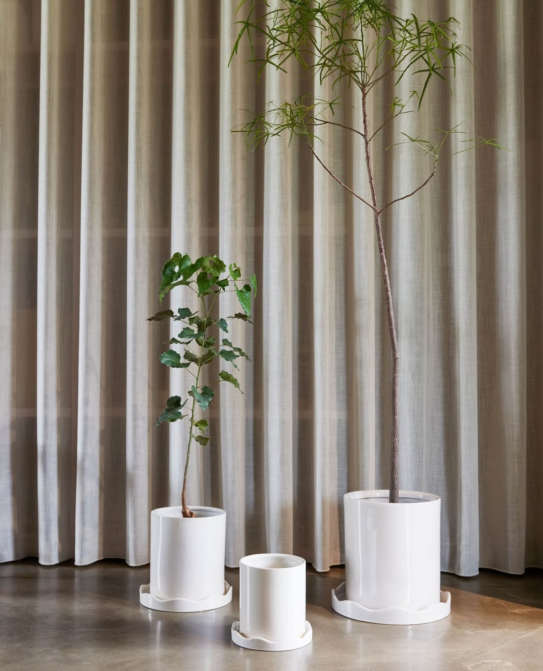 oyoylivingdesign