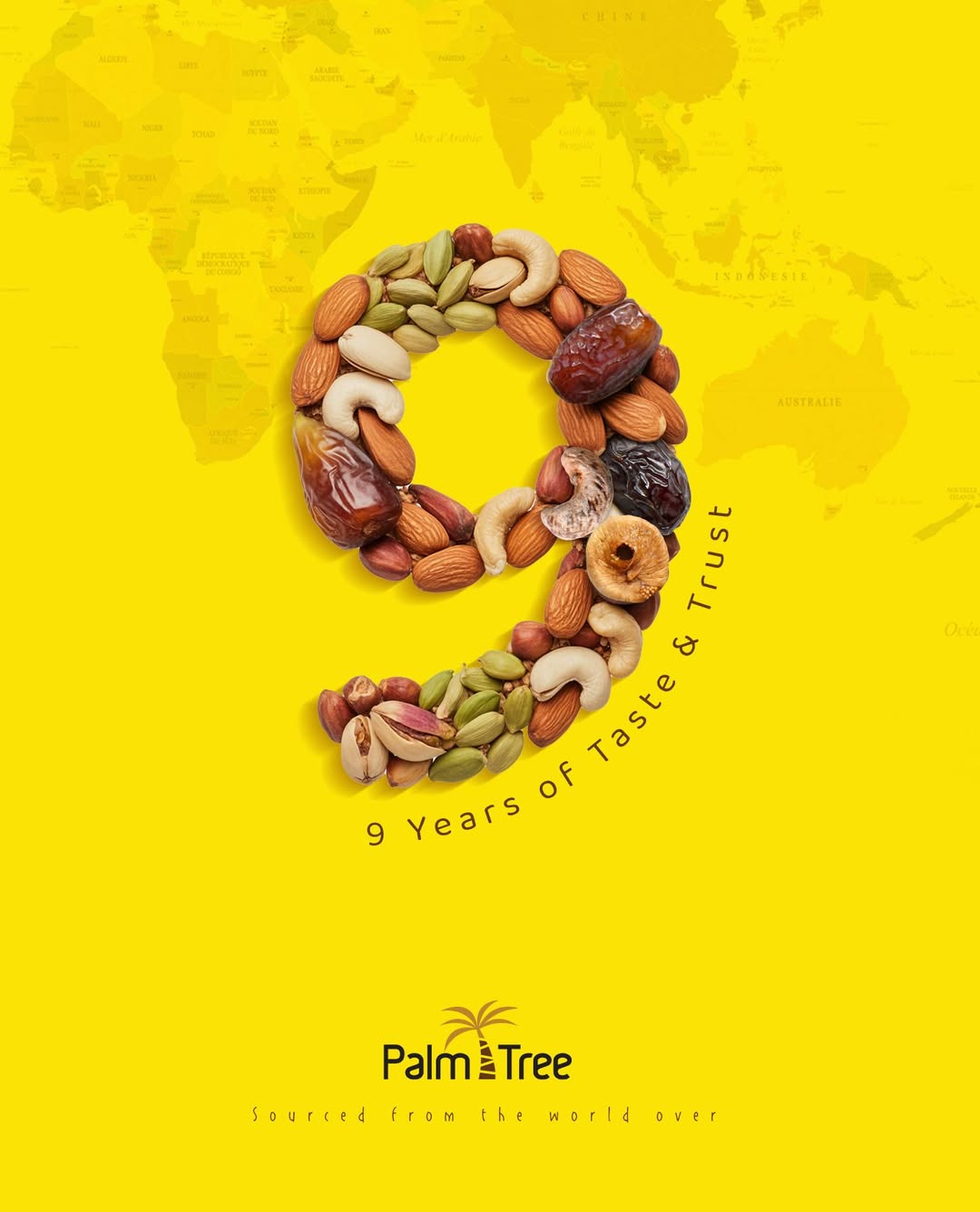 Instagram palmtree.india