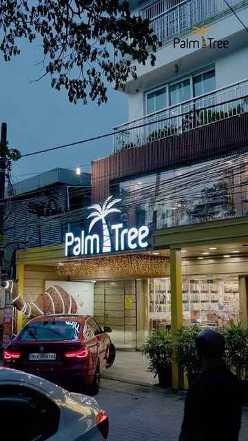 Instagram palmtree.india