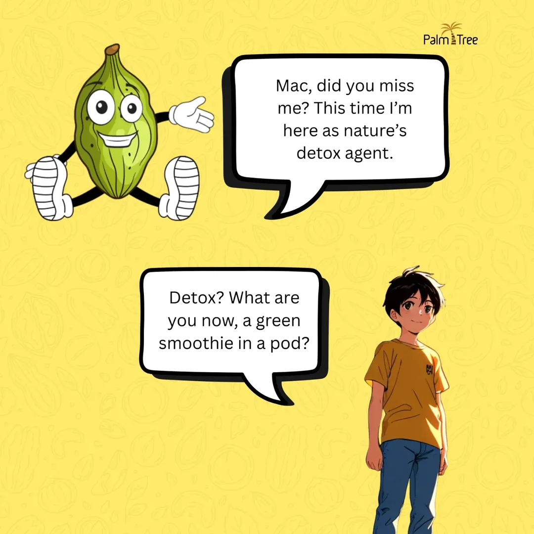 Instagram palmtree.india