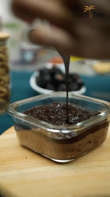 Instagram palmtree.india