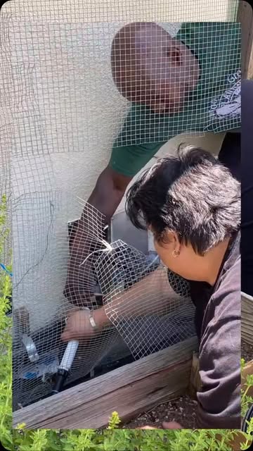 planting.justice