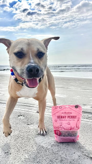 Instagram polkadog