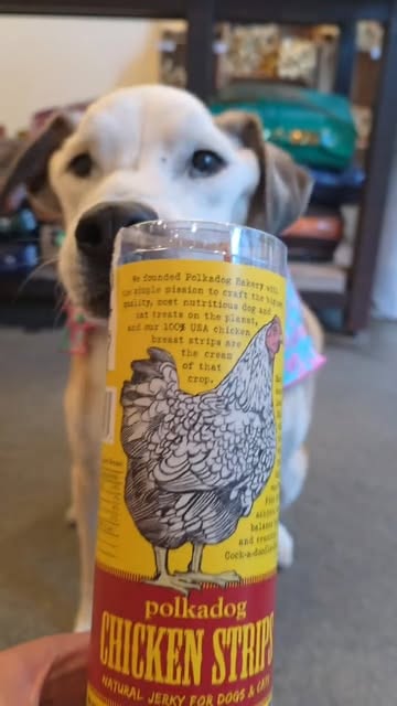 Instagram polkadog