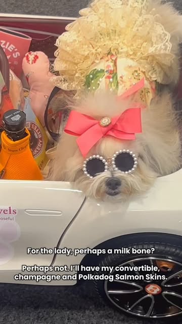 Instagram polkadog