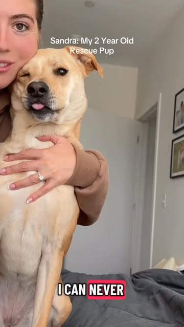Instagram polkadog