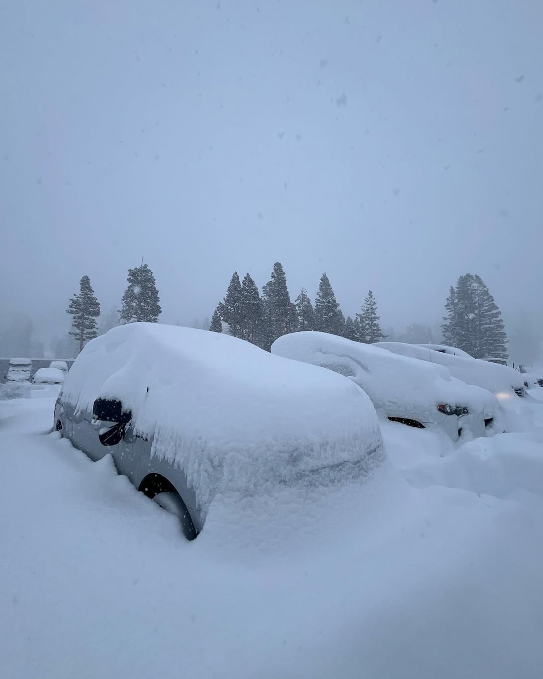Instagram powderchasers