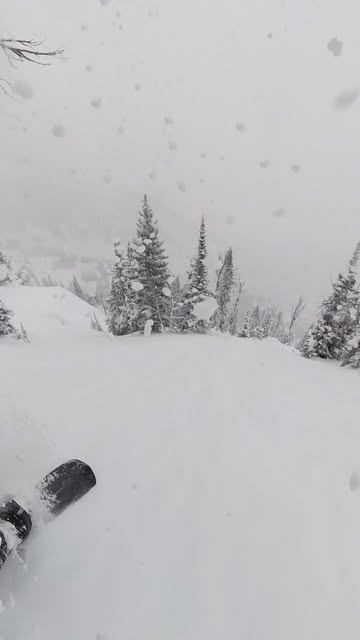 Instagram powderchasers