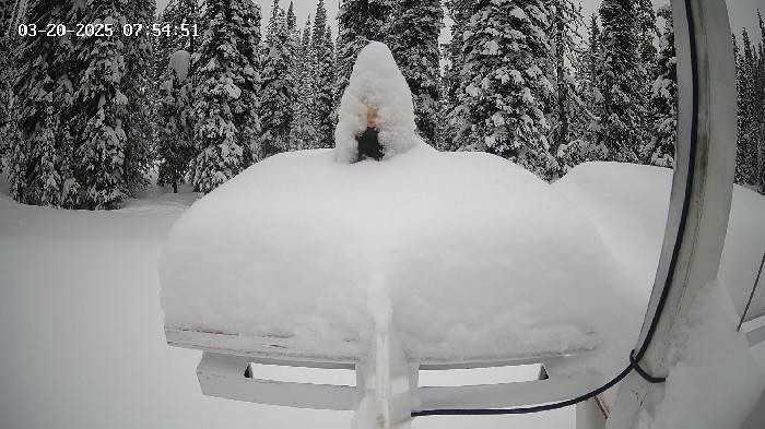 Instagram powderchasers