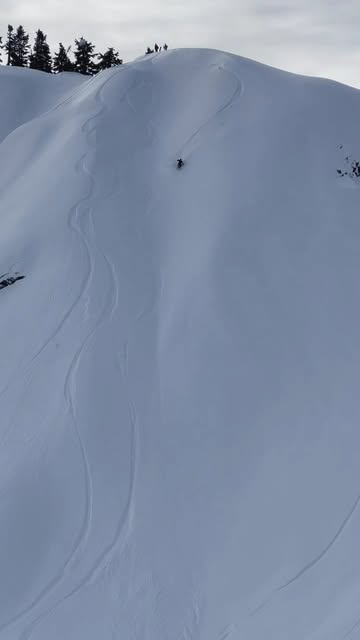 Instagram powderchasers