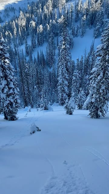 Instagram powderchasers