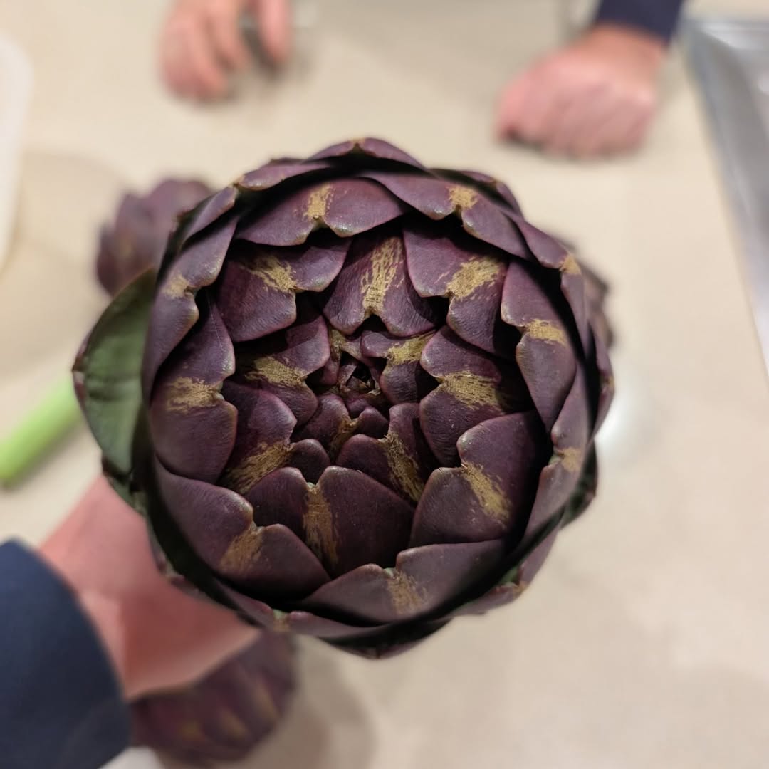 Instagram qpseedlings