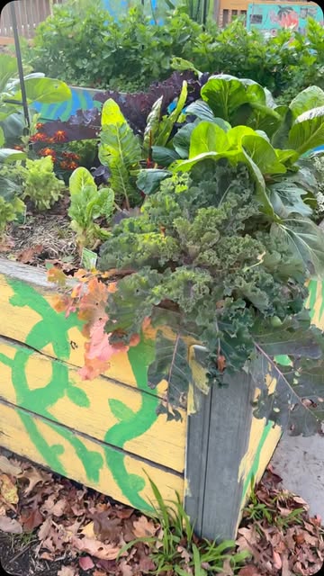 Instagram qpseedlings