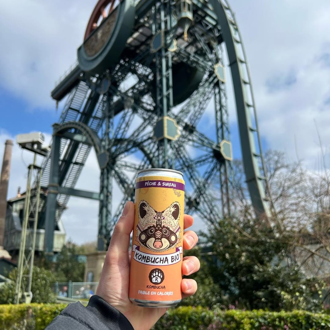 Instagram rkombucha_fr