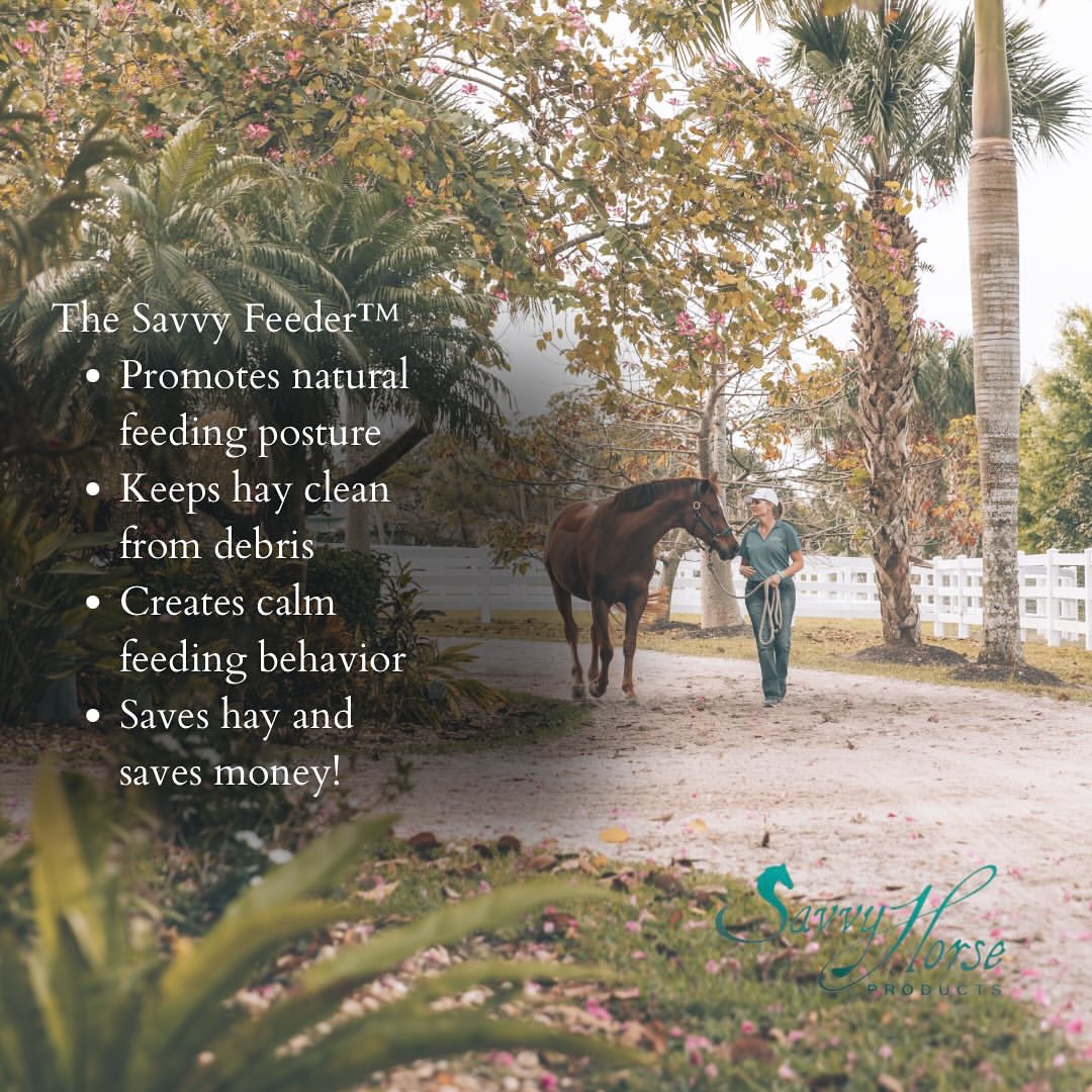 Instagram savvyhorseproducts