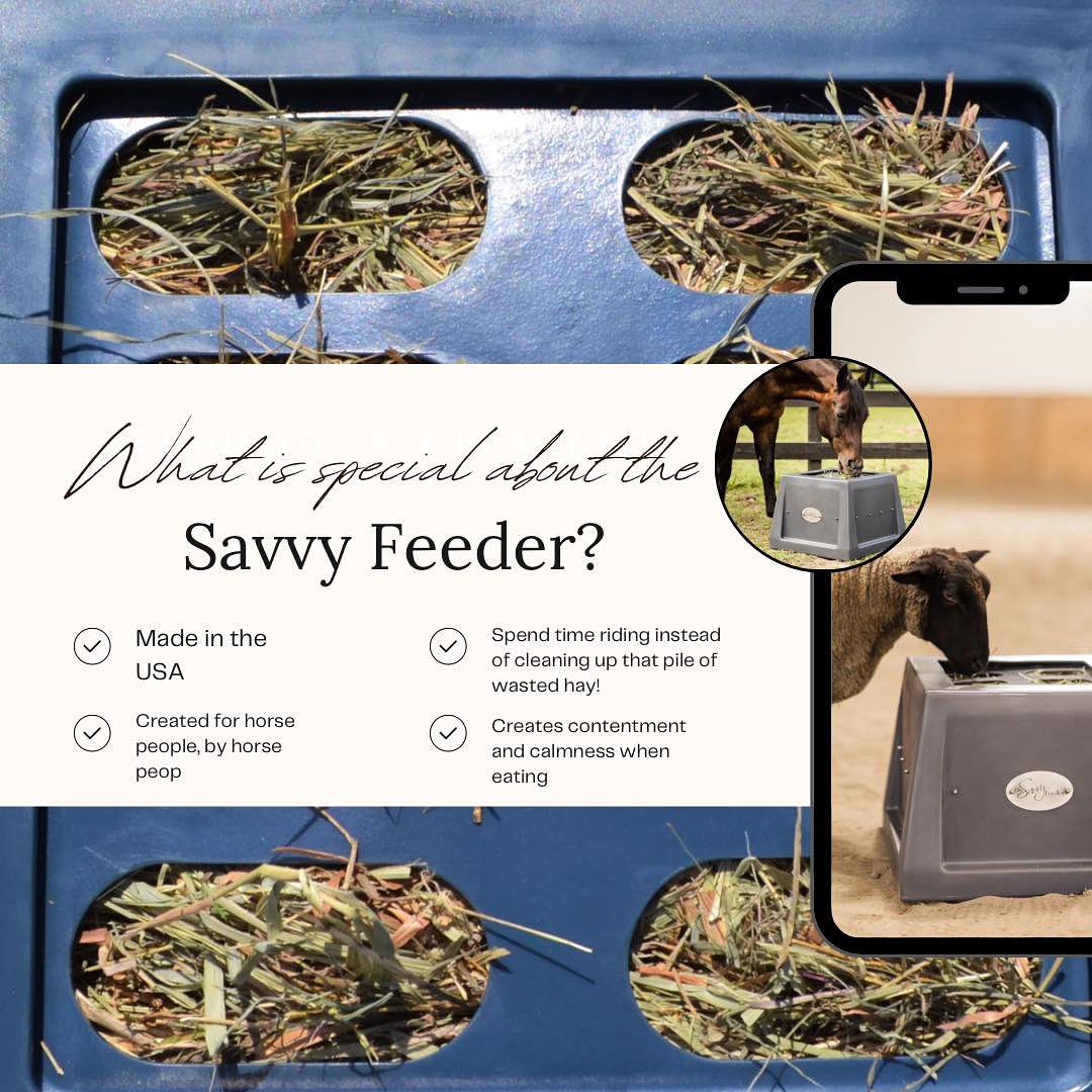 Instagram savvyhorseproducts