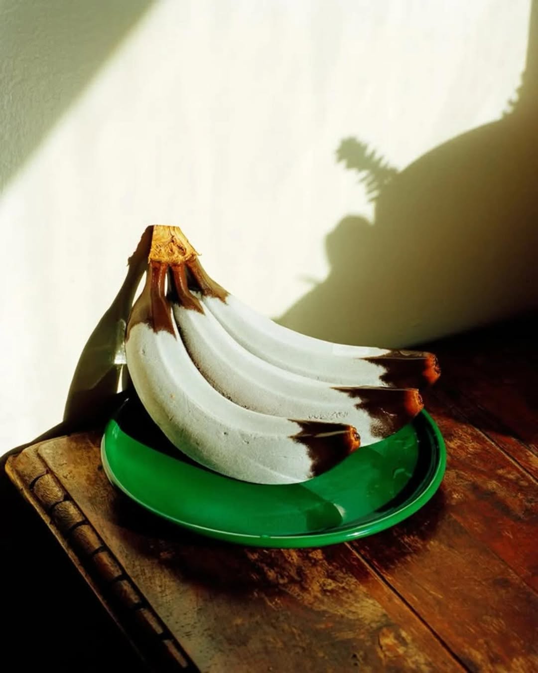 sook_stainable
