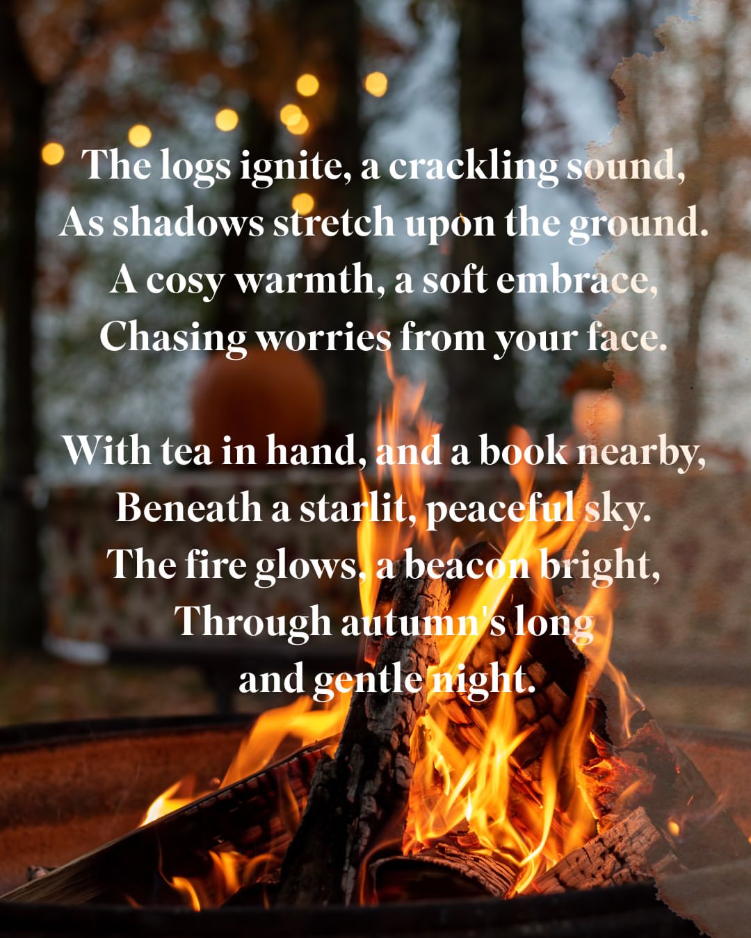 Instagram thefiresidestore