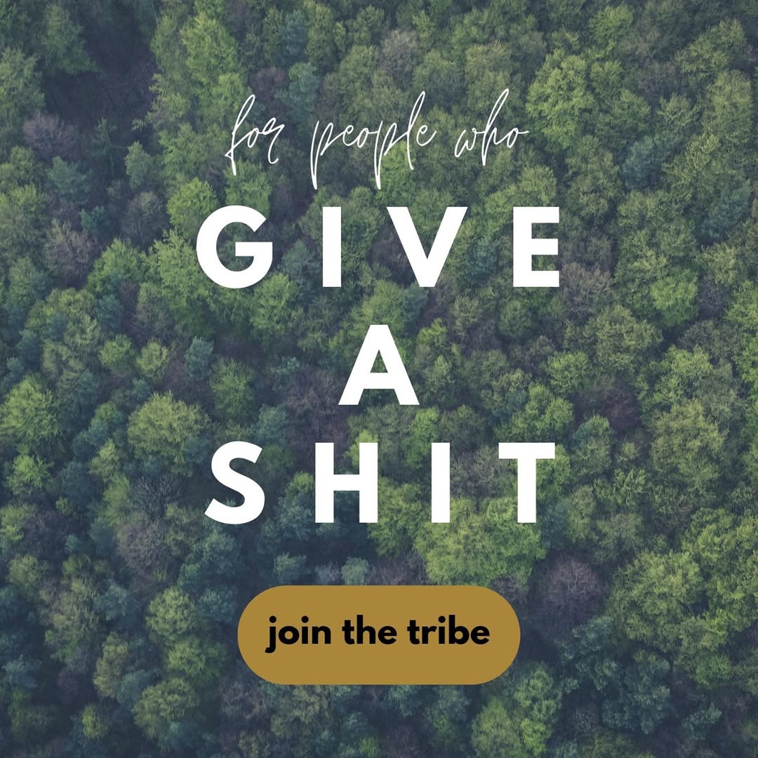 theoutpostnz