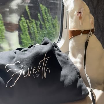 theseventhedit