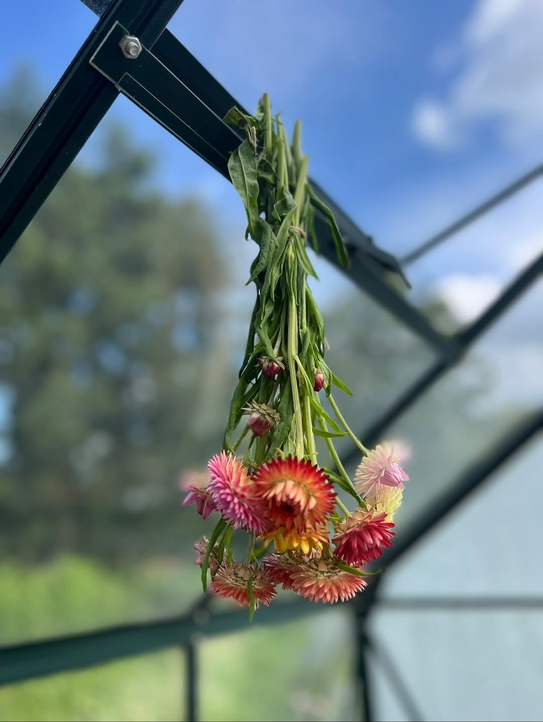 Instagram veerenmoon