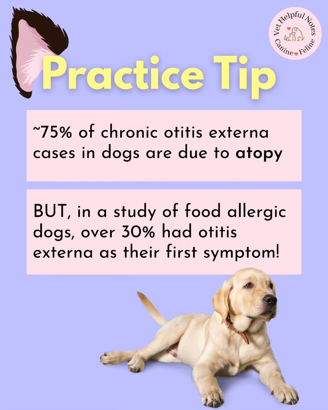 vet.helpful.notes