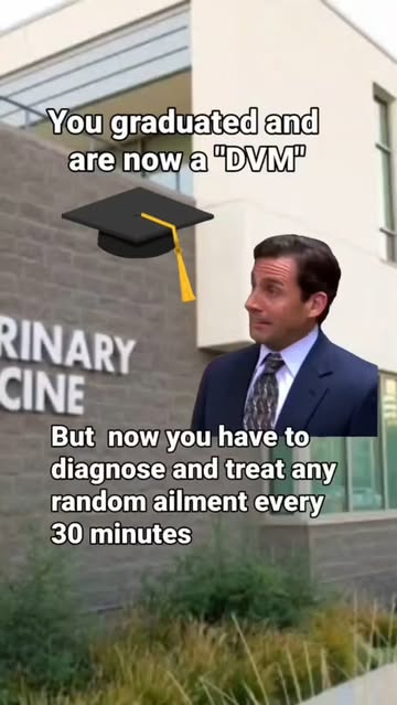 vet.helpful.notes