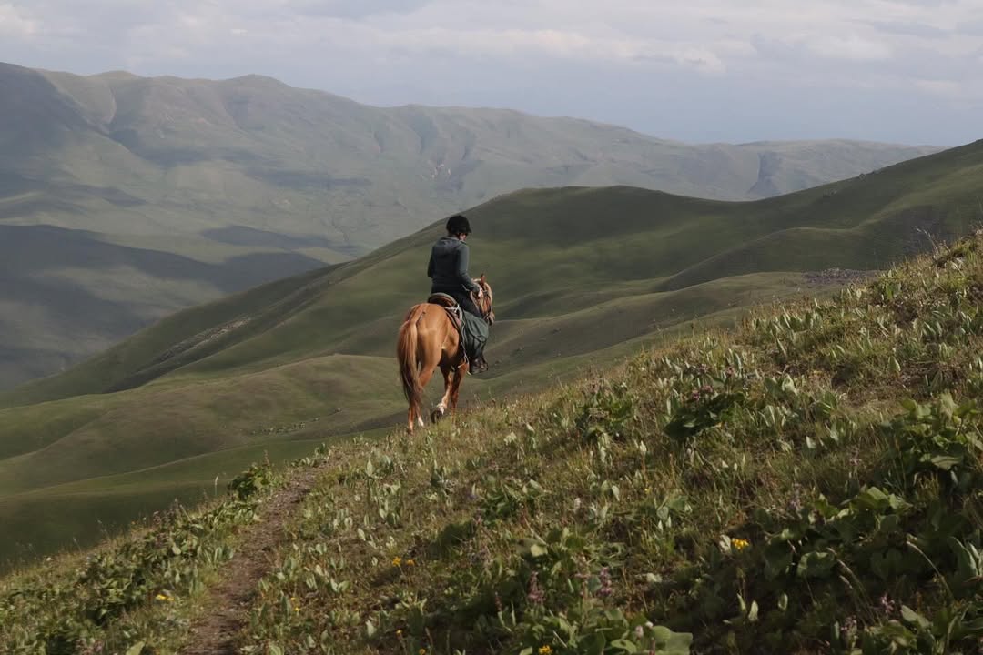 wandermut