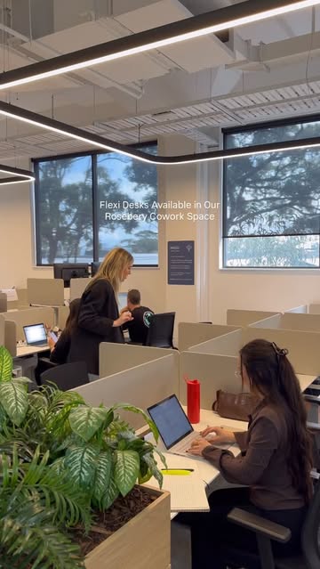welloworkssydney